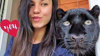  (Eng Subs) Birthday of Luna the panther /summer aviary for Luna and Venza