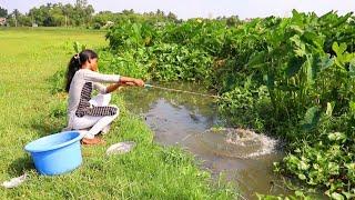 Fishing Video || Village girls like to catch fish using hook || Traditional hook fishing 2024