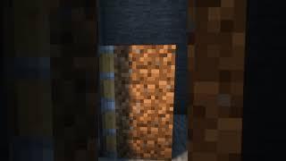 Minecraft Secret door  rate this build out of 10? #shorts