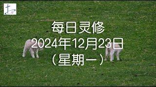 每日灵修2024年12月23日（星期一）哥林多前书9章24节  (English translation in description box)