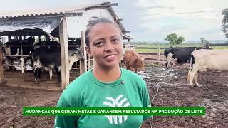 Mudanças que geram metas e garantem resultados na produção de leite | Senar Transforma - resumo