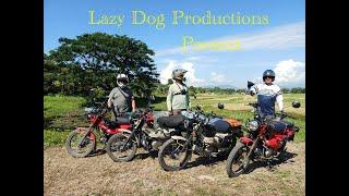 Lazy Dog Productions Present