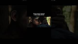 Приходите! Покажем и расскажем, даже на вашем продукте протестируем#сельскоехозяйство #фотосепаратор