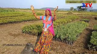 Banjara Culture Dance on DJ Song in New Style || Nice Dance || 3TV BANJARAA