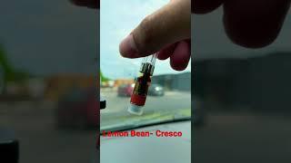 Lemon Bean- Cresco