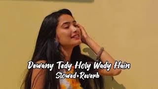 Dewany Tedy Holy Wady Hain | Slowed+Reverb | Shahzad Khan Qaisrani |  Saraiki Song | #SharjeelEditx_