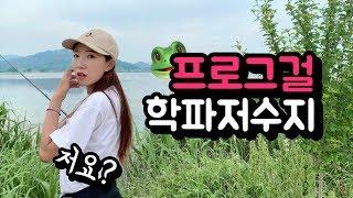 프로그걸 전라남도 영암에서 개구리만 쓰고 배스낚시 하기 (feat.학파저수지)