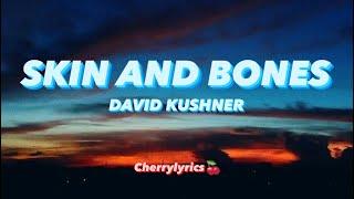 Skin and Bones - slowed + extended, David Kushner (unreleased) (Lyrics)