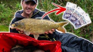 Match Fishing - Fishing An OPEN MATCH (Can We Win Some Money!)