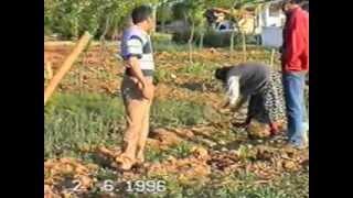 ALAADDİN KARADAVUT  BAHÇE 2005 ZEKİ ÇALKAN  MUSTAFA ÇALKAN AYRIK