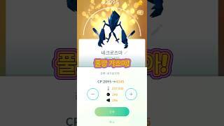 이로치 네크 풀강 진화! #쌈밥tv #포켓몬고 #네크로즈마 #합체 #이로치 #shiny #necrozma #pokemongo