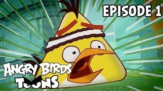 Angry Birds Toons | Chuck Time - S1 Ep1