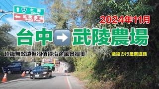 2024年11月台中到武陵農場｜途經力行產業道路福壽山｜全程171公里耗時四小時