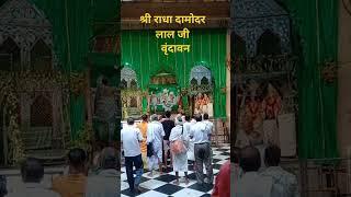 #vrindavn #vlog #love #radhakrishna #bankebihari #viralvideo #like