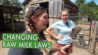 She Wrote The Law On Raw Milk Ice Cream (Little Red Hen Farm & Market)