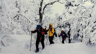 WHEN @LOUH HO VLOGZ WALKS IN WILDERNESS #south Korea Winter Tour