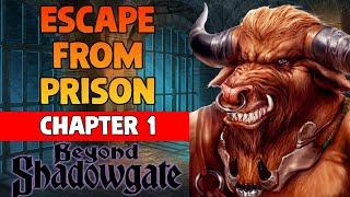 How To Escape From Prison (Chapter 1) | Beyond Shadowgate