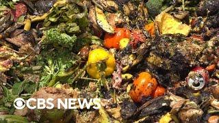 How composting can reduce methane caused by Thanksgiving food waste