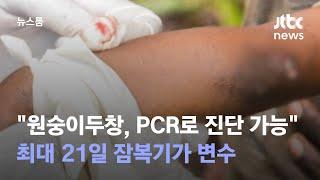 국내 발생 대비…'원숭이두창' 최대 21일 잠복기가 변수 / JTBC 뉴스룸