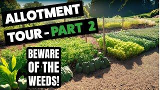 Cheshire Allotment Tour - Part 2 - Its in a sad state! - Allotment Diary