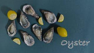 Miniature Oyster  | Polymer Clay Miniature Food Tutorial //迷你牡蛎/生蚝 | 软陶微缩食物教程（粘土）