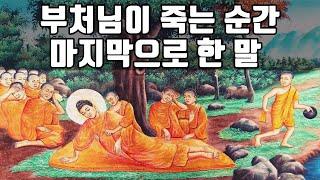 깨달음이란 무엇인가 - 부처님의 유언ㅣ스타씨드