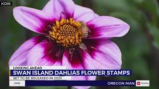 Swan Island Dahlias stamps to be released in 2025