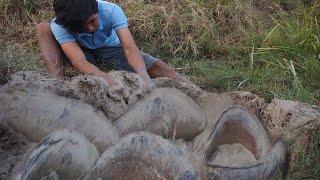 Amazing Catch fish under the grass - Find Catfish in Secret Hole Dry season