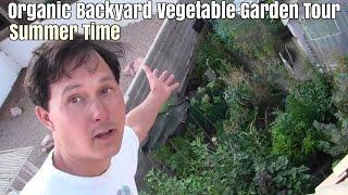 Organic Backyard Vegetable Garden Tour - Summer Time