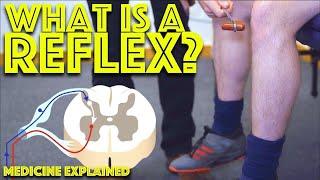 What is a reflex arc? - Understanding the Clinical Skills - Neurology - Dr Gill