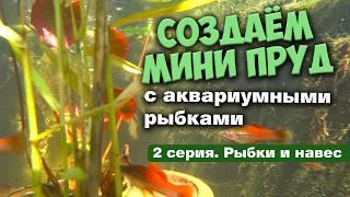 Запустил рыбок в мини пруд на даче  Сделал защитный навес