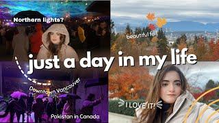 Northern lights in Canada?! the best experience  day in life of Pakistani living in Canada