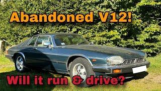 Abandoned For Over 30 Years! Will This 1985 Jaguar XJS Run and Drive?