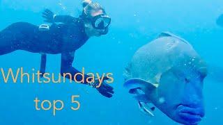 Sailing Whitsundays TOP 5 spots