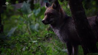 Documentário: Sintra  - O Monte da Lua HD