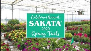 Sakata 2020 Spring Trials