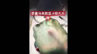 恭喜马来西亚郑大大涨，#翡翠直播 #翡翠價格 #翡翠手镯 #翡翠原石 #翡翠实战 #老坑翡翠