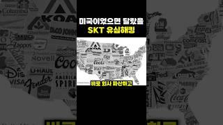 미국이었으면 달랐을 skt 유심해킹