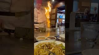 Benihana Hibachi Grill Houston TX 