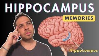 Hippocampus and Memories