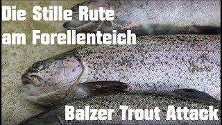 Die Stille Rute am Forellenteich - Das Balzer Trout Attack Team im Einsatz