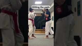 Practical Tang Soo Do - Hitting the Pads