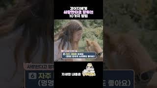 강아지에게 사랑한다고 말하는 10가지 방법