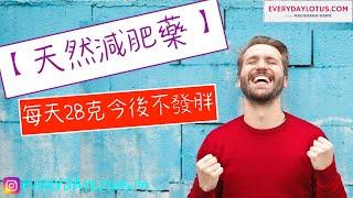 【天然減肥藥】每天28克今後不發胖 Natural slim food // Just 28 grams a day keeps you fit forever