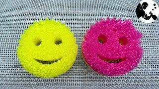 Scrub Daddy vs Scrub Mommy | What's the Difference??