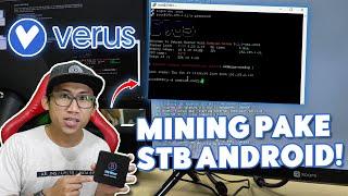 Mining Verus Dengan STB JAUH LEBIH UNTUNG?! | Pemula Pasti Bisa! Tanpa Ribet