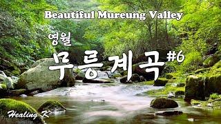 4k 영월 무릉계곡#6 | 숲 속 무릉계곡의 물소리 |  The Sound of Water in The Beautiful Mureung Valley | Relaxing