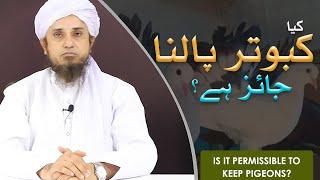 KYA KABOOTAR PALNA JAA'IZ HAI? | IS IT PERMISSIBLE TO KEEP PIGEONS? - MUFTI TARIQ MASOOD