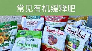 【施肥追肥】常见缓释有机肥｜手把手施固态有机肥 ｜ Popular Granular Organic Fertilizers For Vegetables