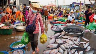 Cambodian Fish Market in Early Morning - Plenty Alive Fish, Dry Fish, Raw Shrimp, Seafood & More